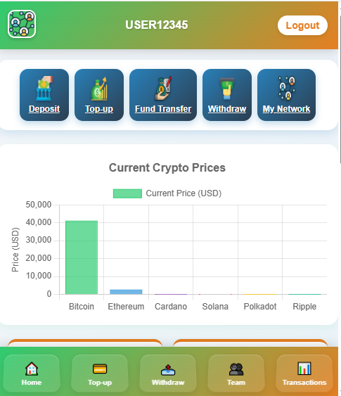 Payment System